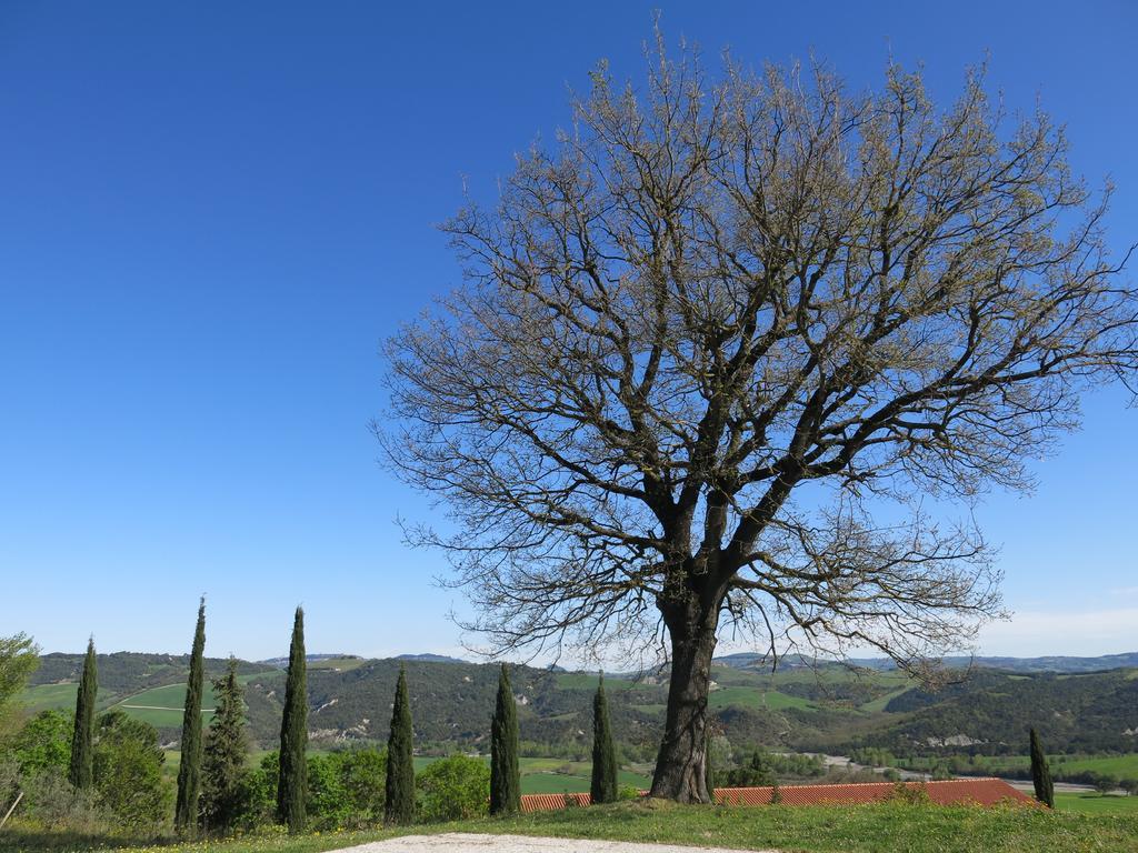 Agriturismo Il Palagetto Pomarance Exterior photo